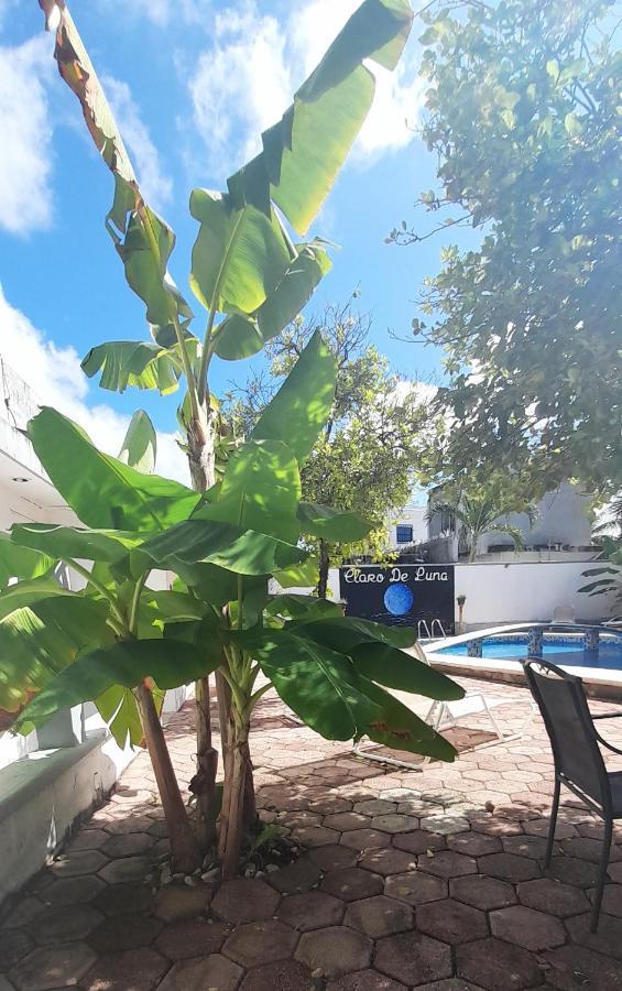 Claro De Luna Playa del Carmen Exteriör bild